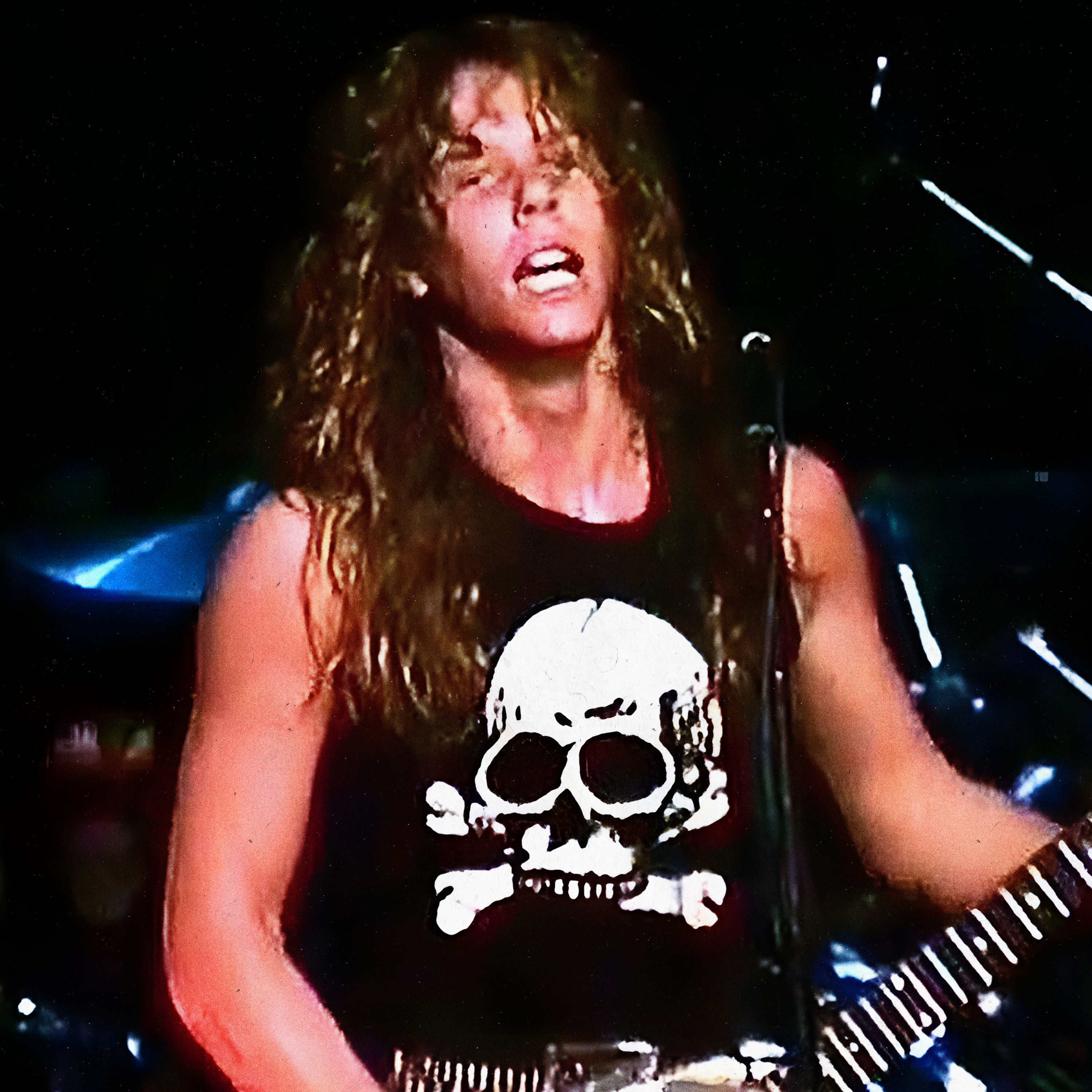 Polera Calavera James Hetfield | Metallica